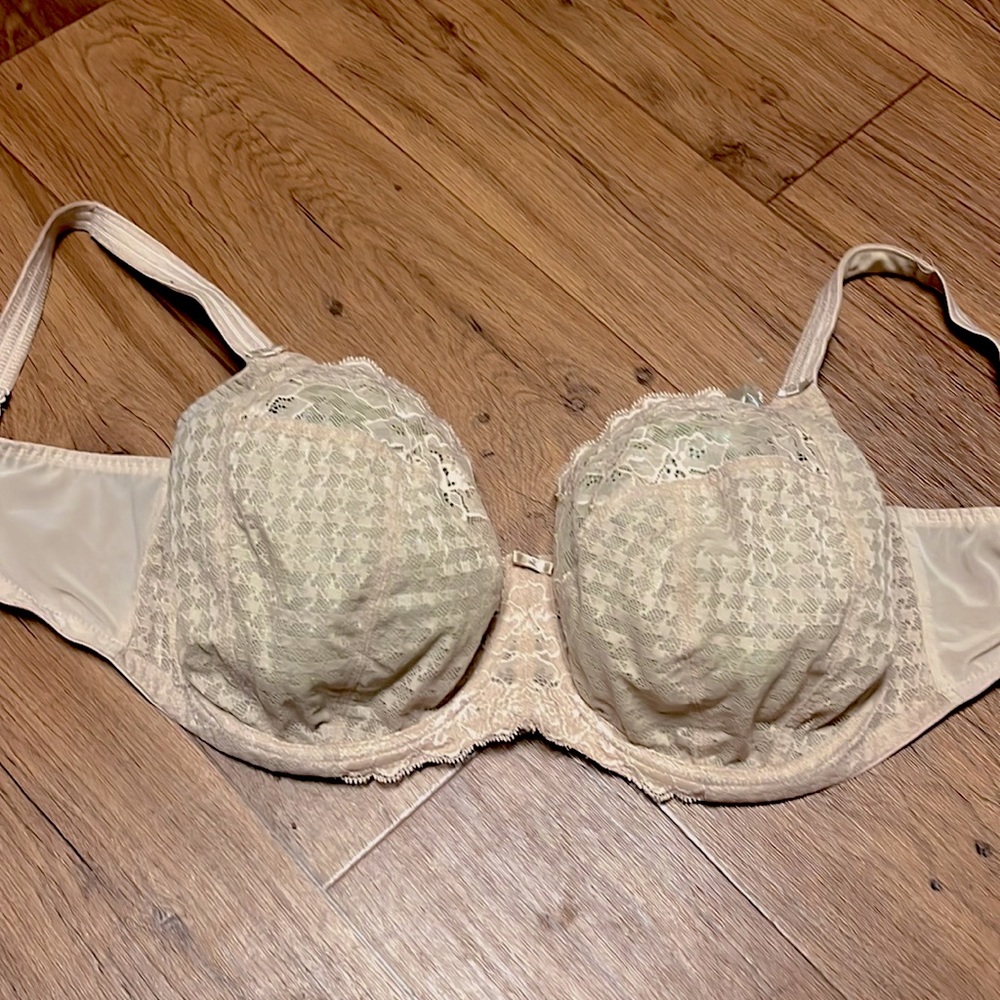 Panache Clara Balconette Lace Bra 38J